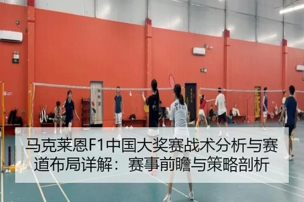 马克莱恩F1中国大奖赛战术分析与赛道布局详解：赛事前瞻与策略剖析