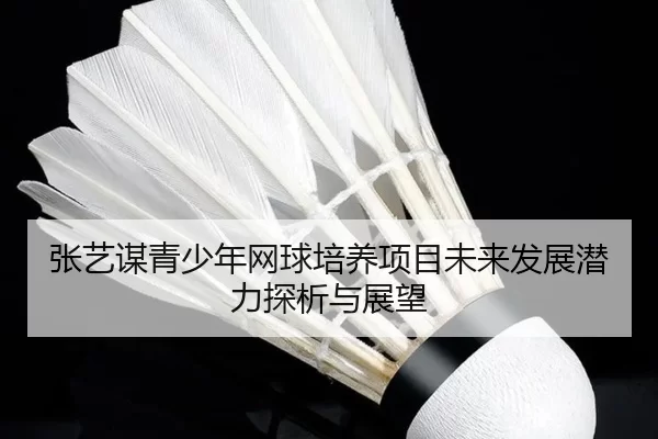 张艺谋青少年网球培养项目未来发展潜力探析与展望