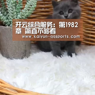 开云综合服务